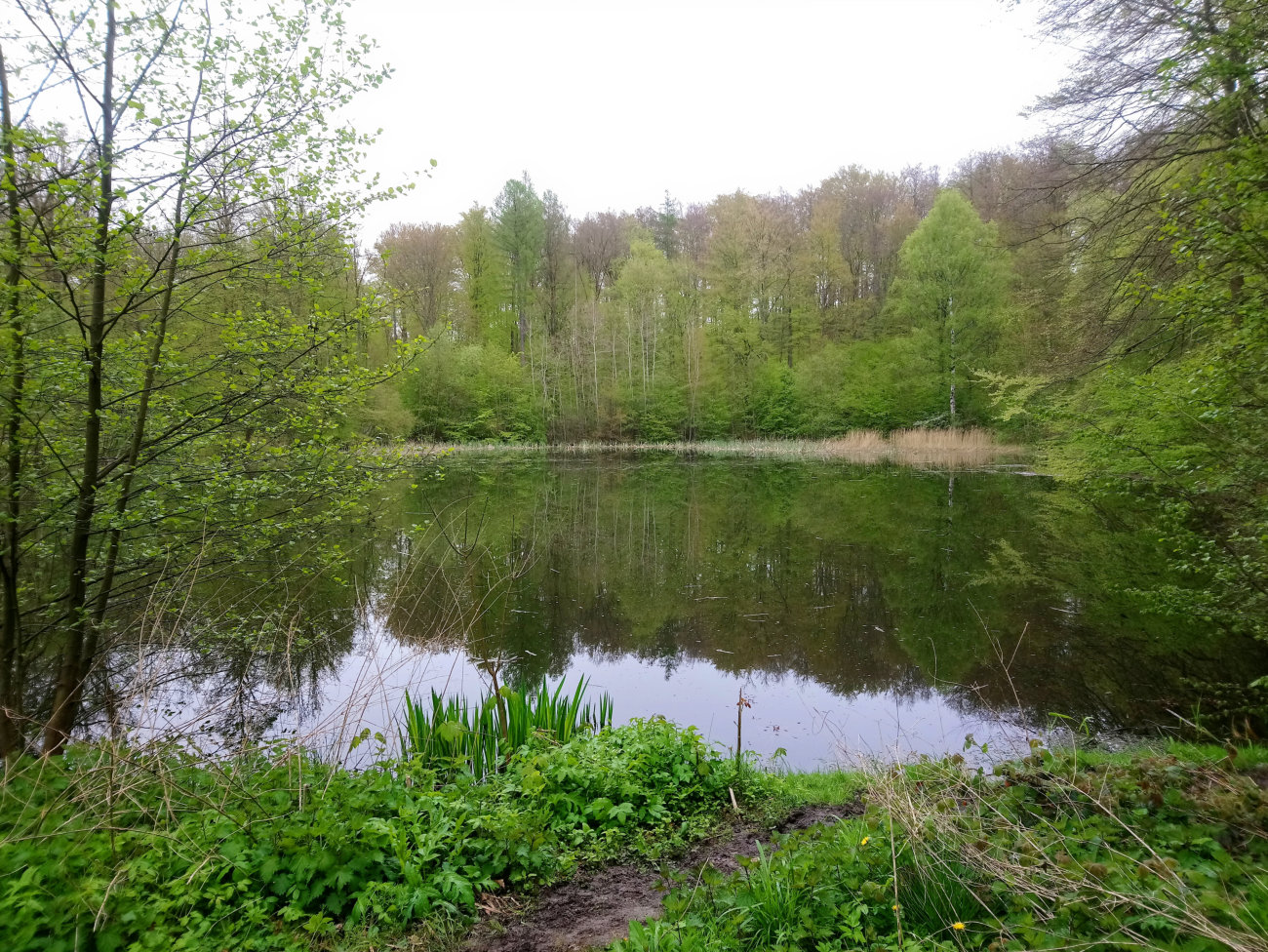 Klusteich