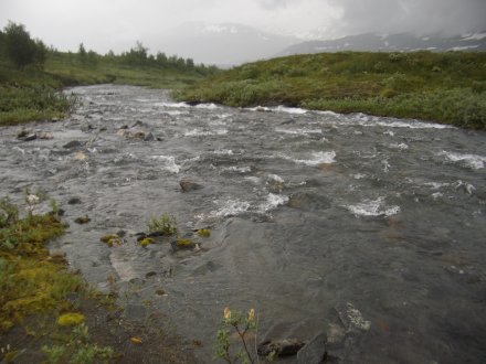 Låggijåkka-Bach