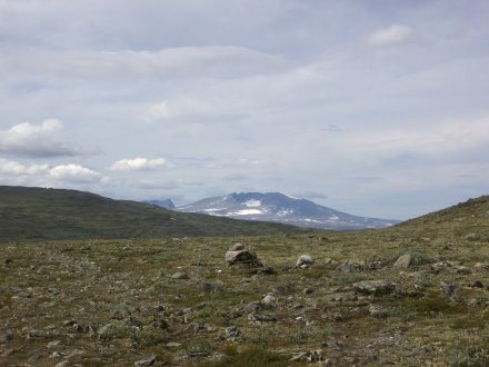Snøhetta
