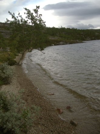 Strand