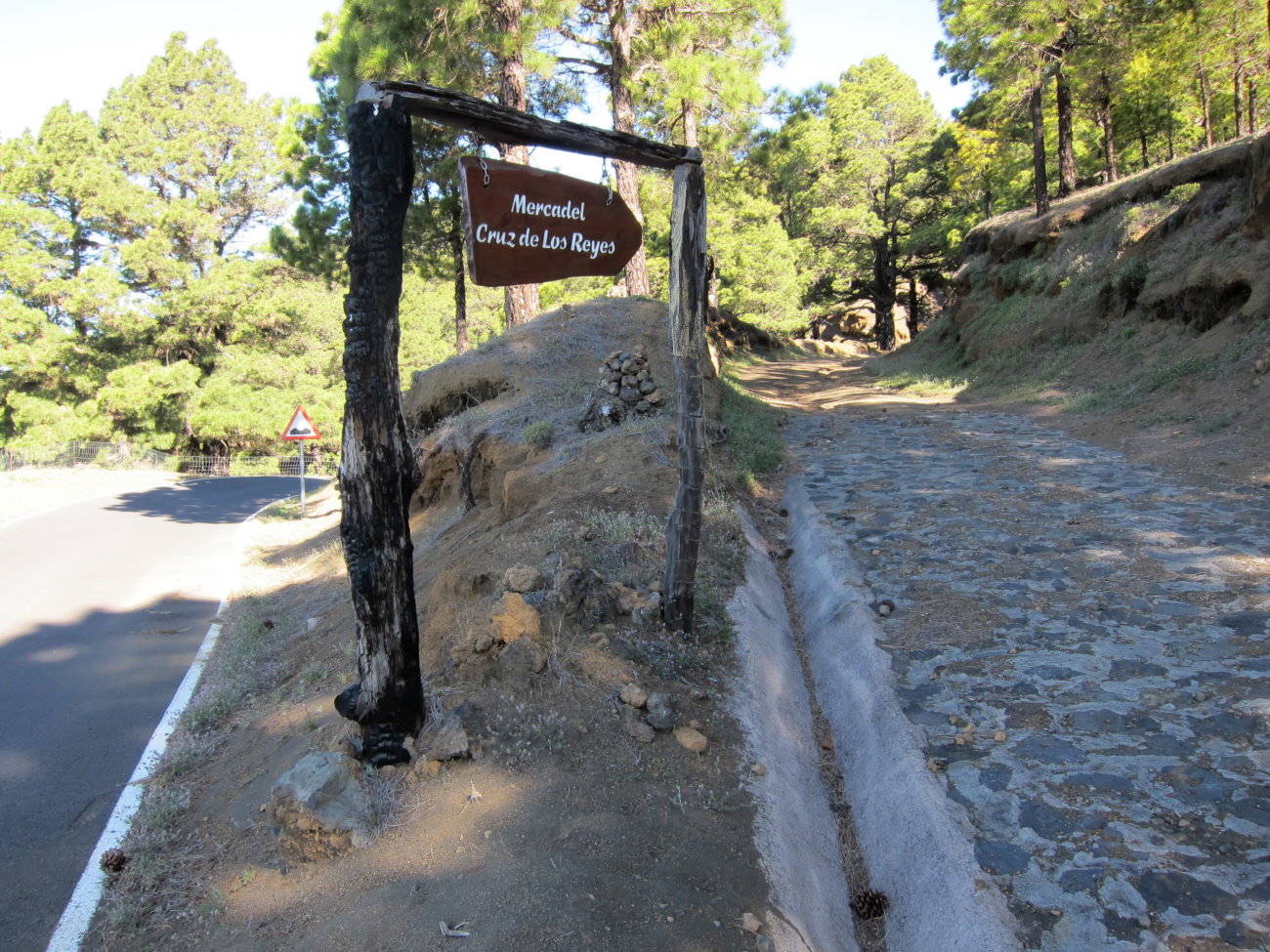 Waldpiste