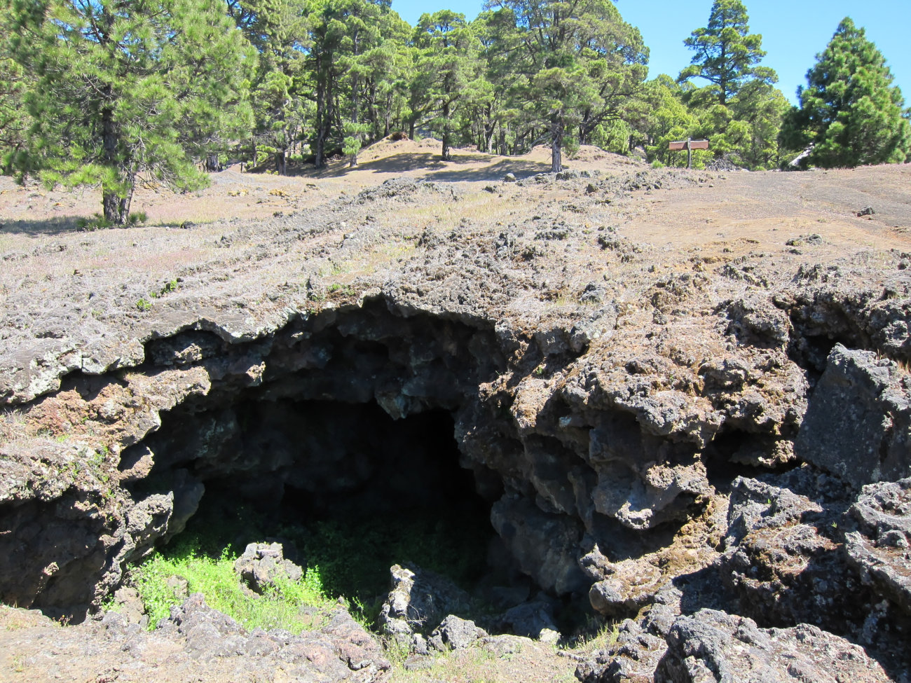Cueva El Mocan