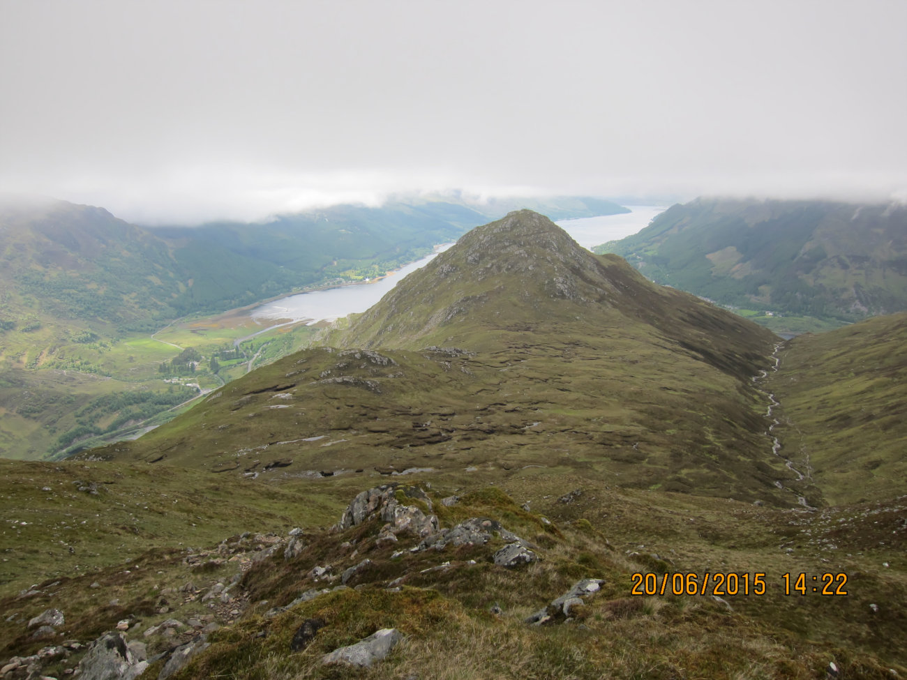 Sumpf-Sattel von oben
