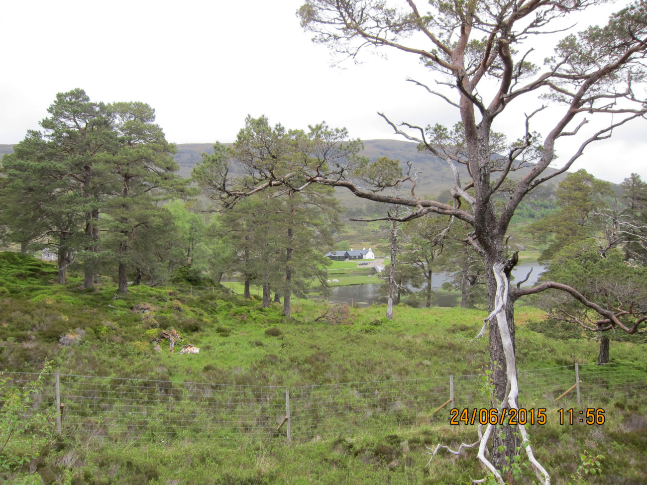 Affric Lodge