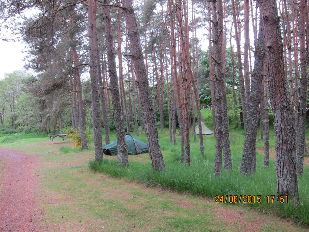 Zelt im Cannich Woodland Camping and Caravan Park