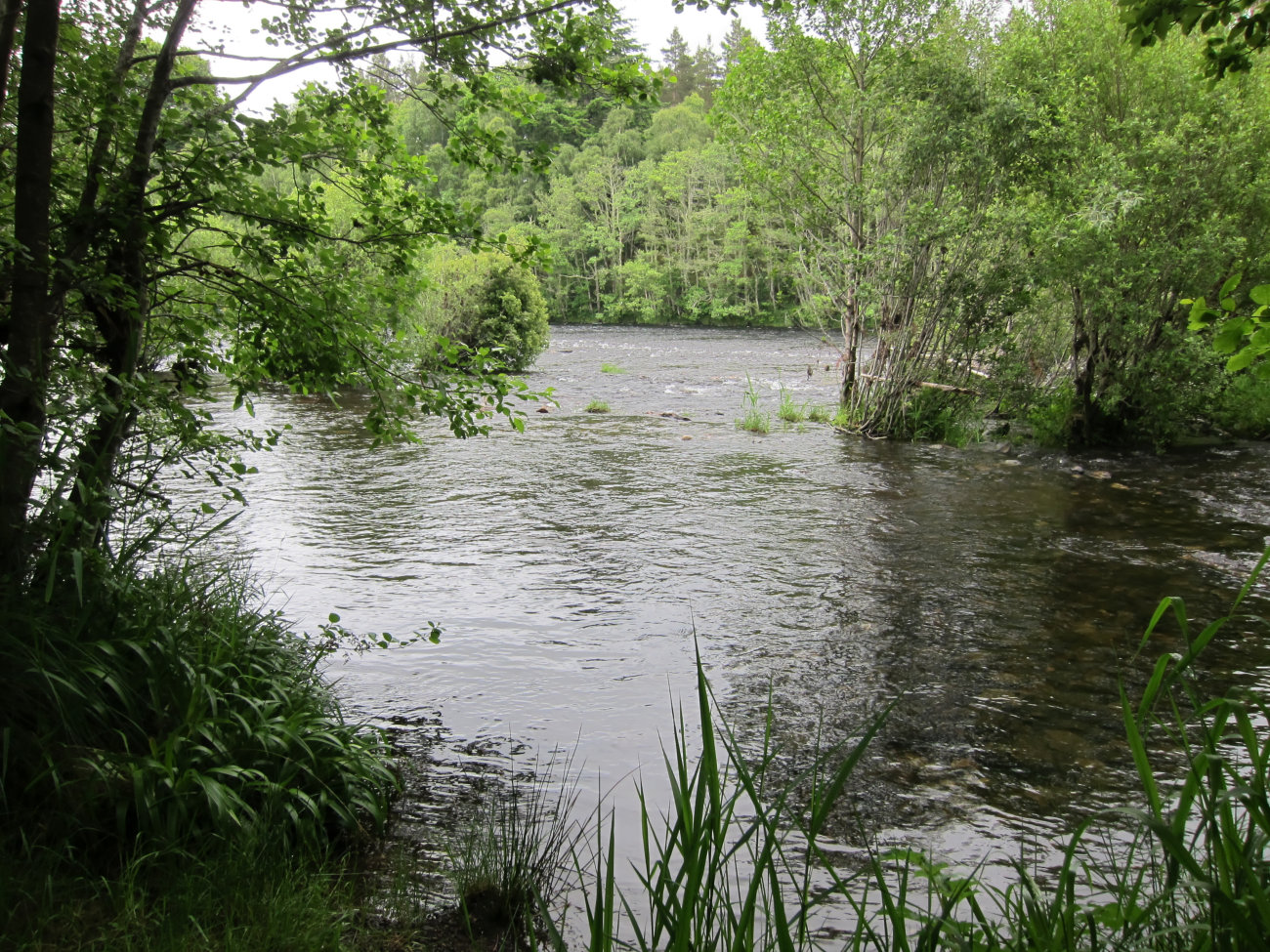 Stromschnellen nach der Brücke