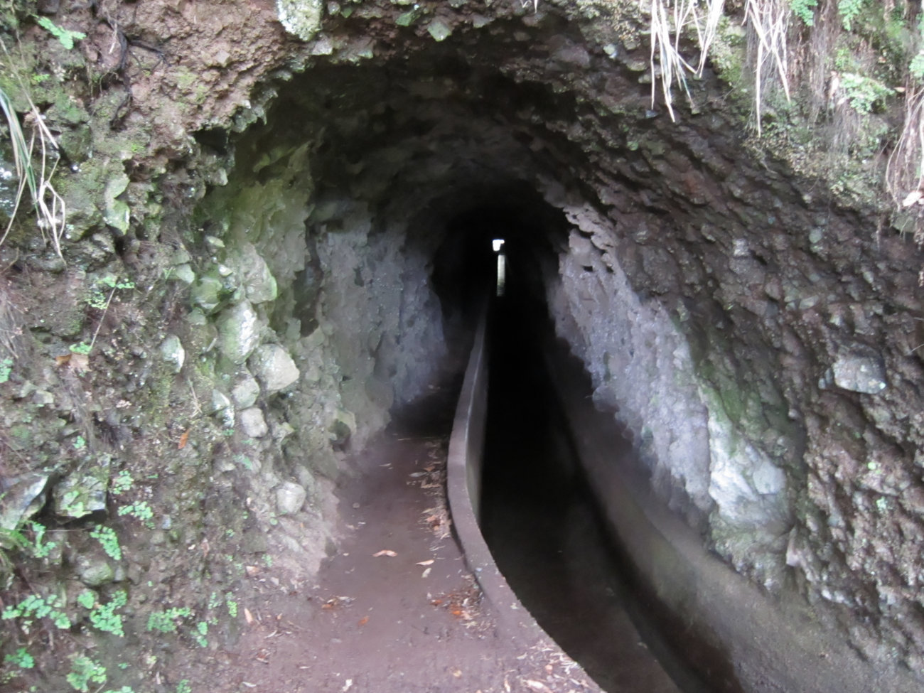 Tunnel 4