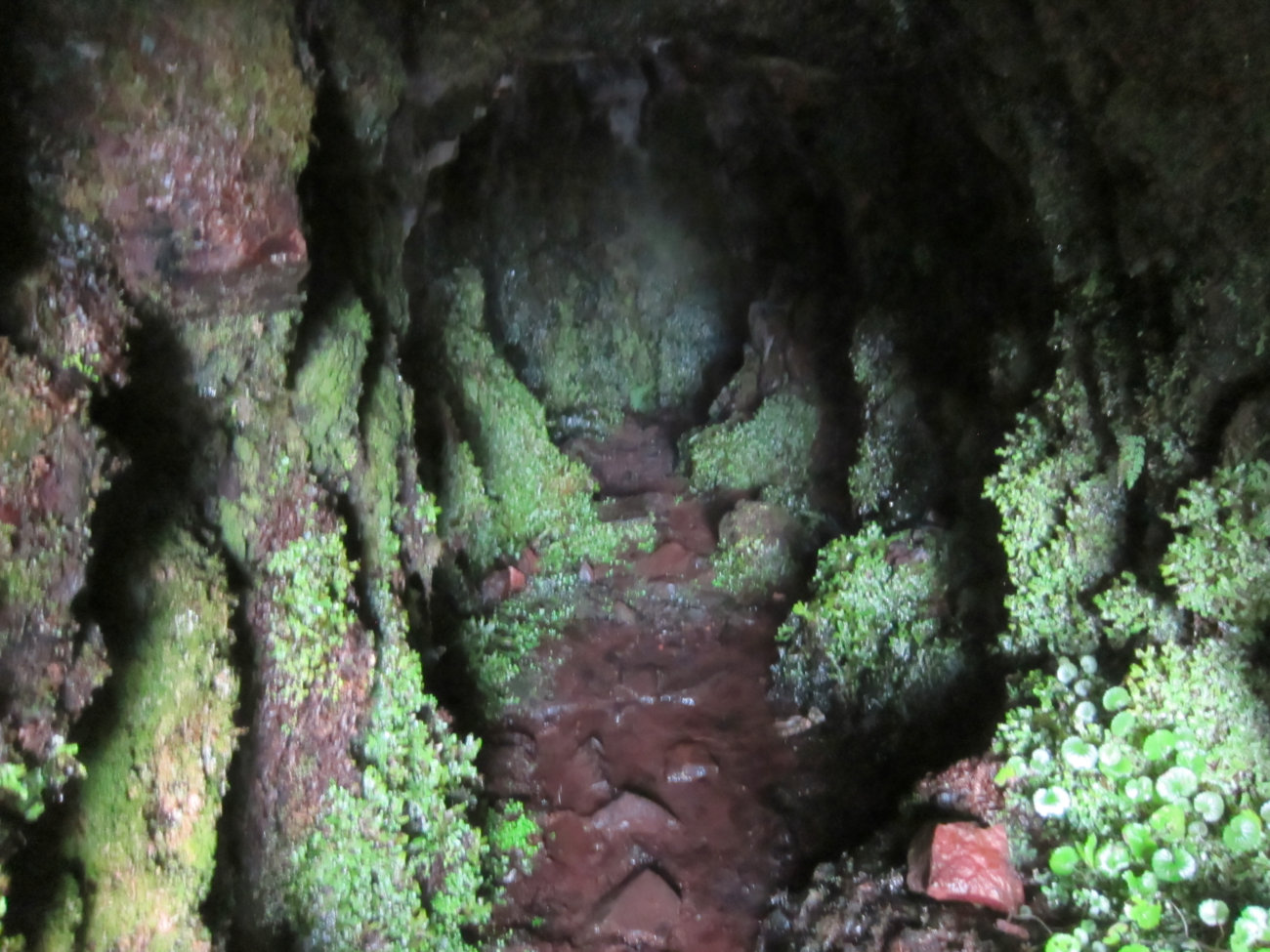Höhle