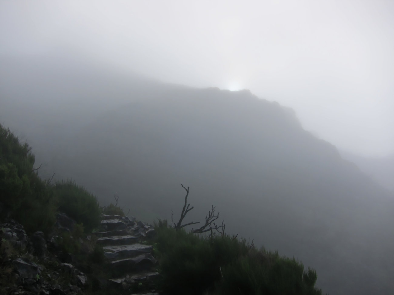 Morgennebel
