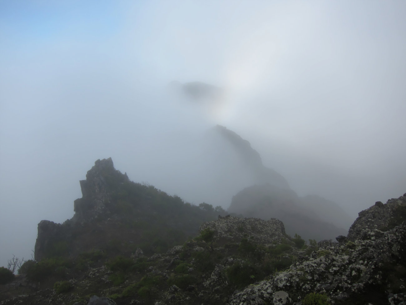 Kamm im Nebel