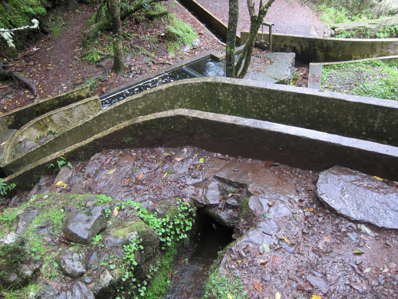 Levada-Kreuzung