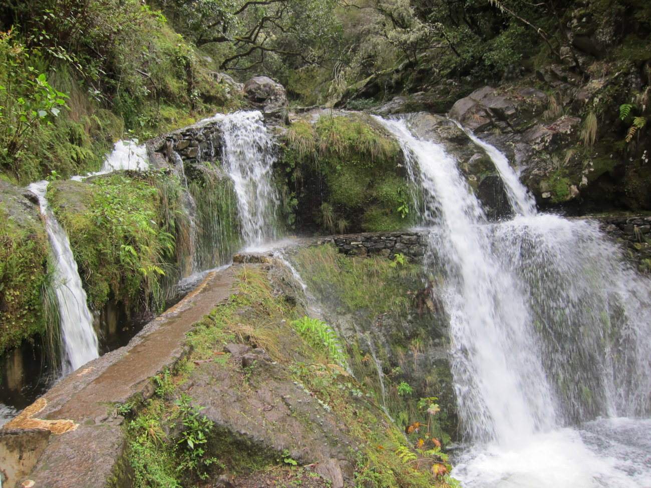 Wasserschwall