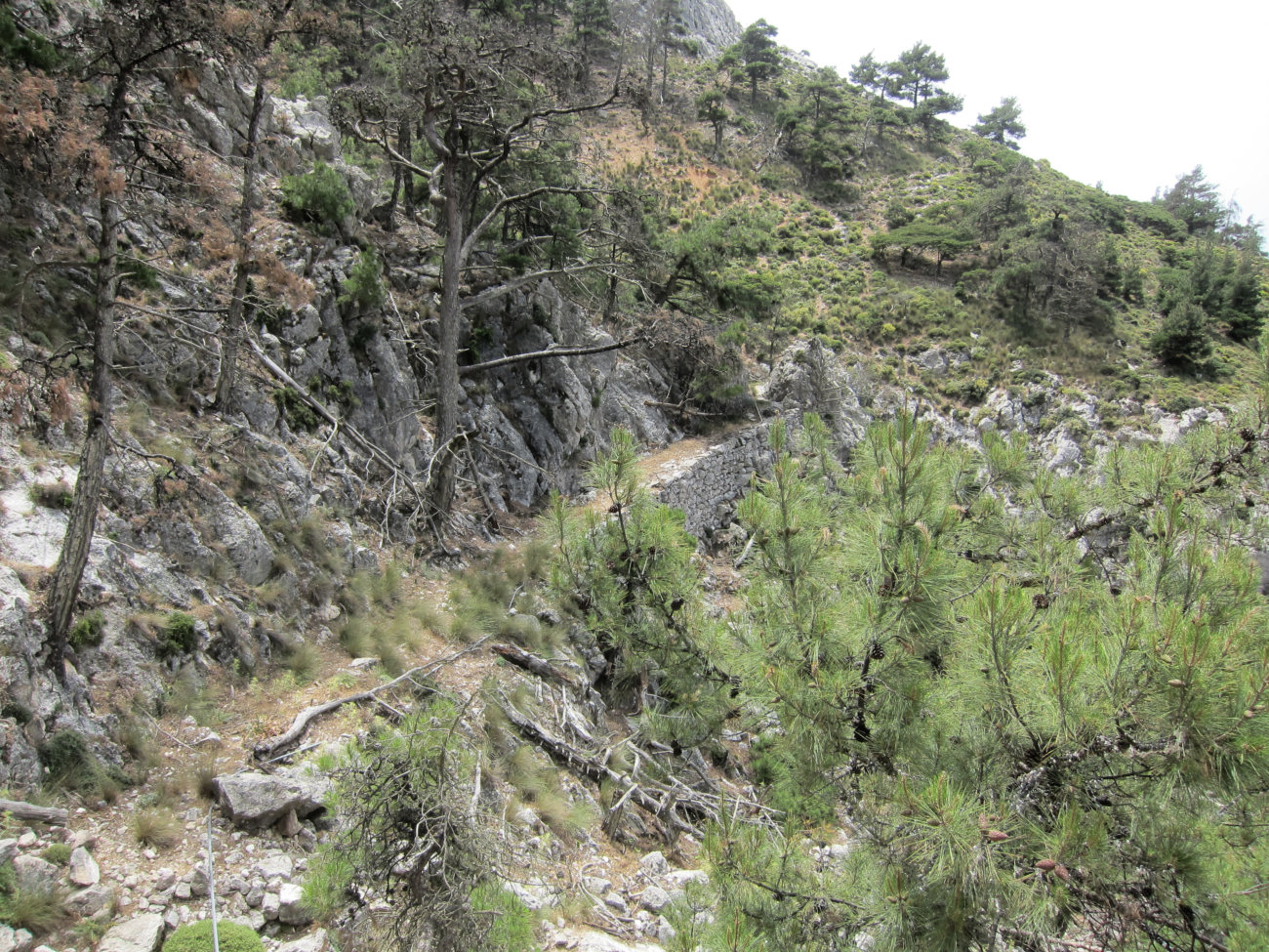 Querweg
