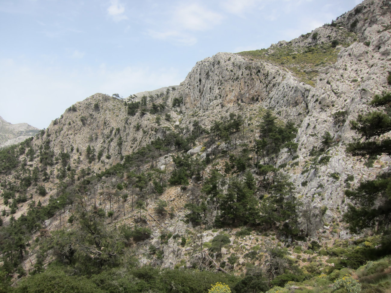 Steilwand