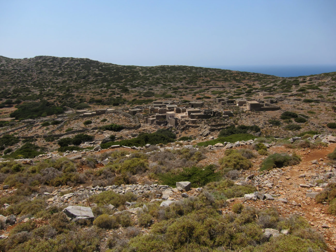 Argos