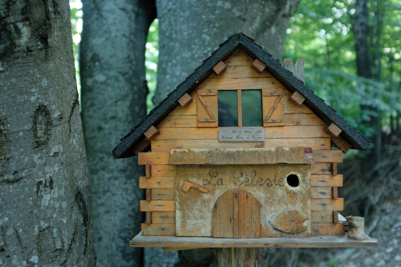 Holzhaus