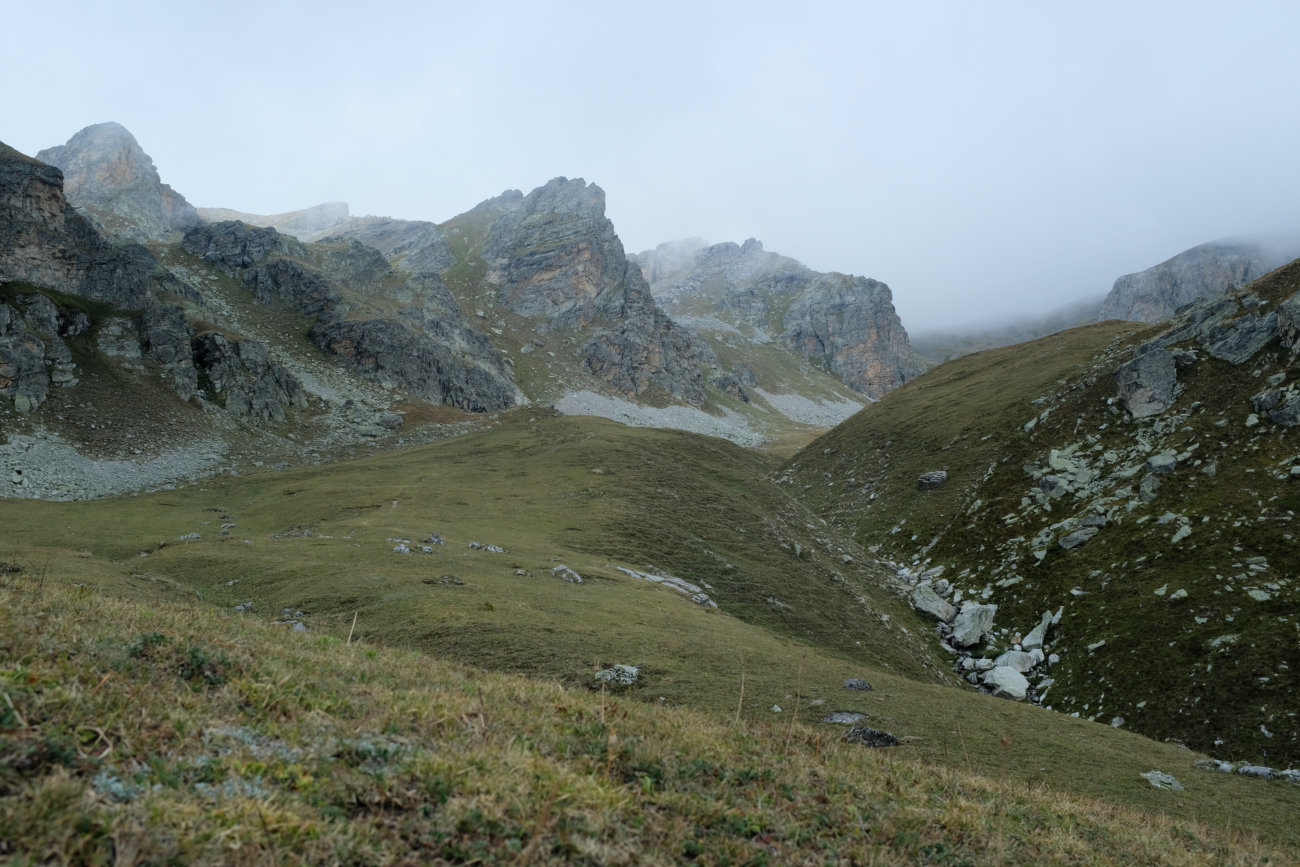 Wiesenhang