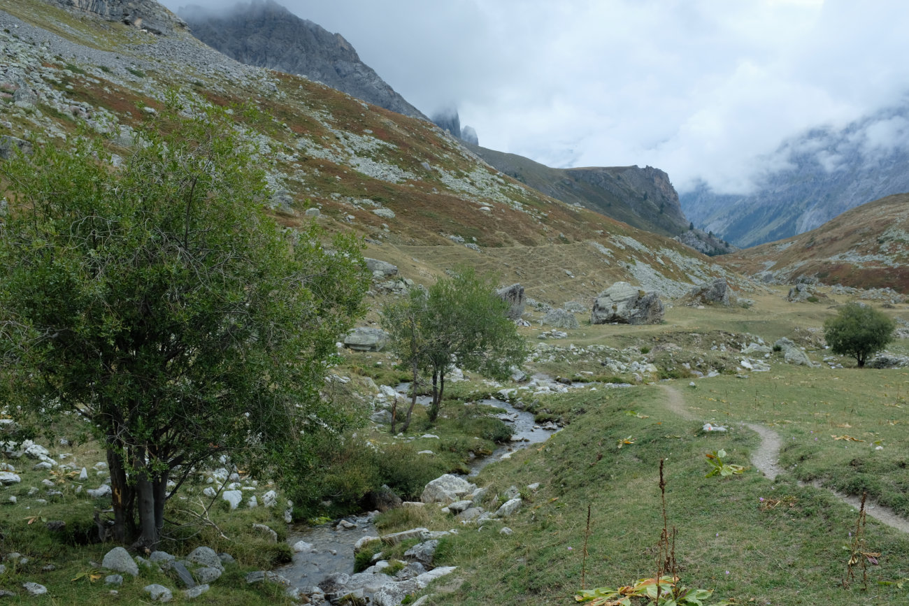 Bach neben Weg