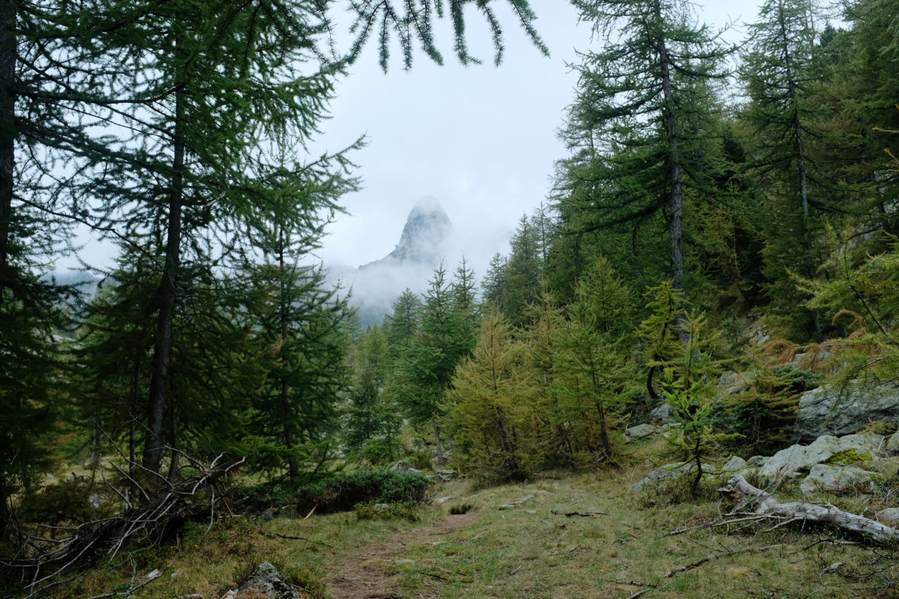 Bergzacke im Nebel