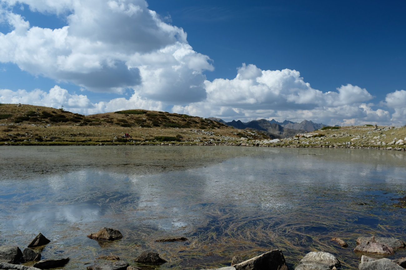 Teich