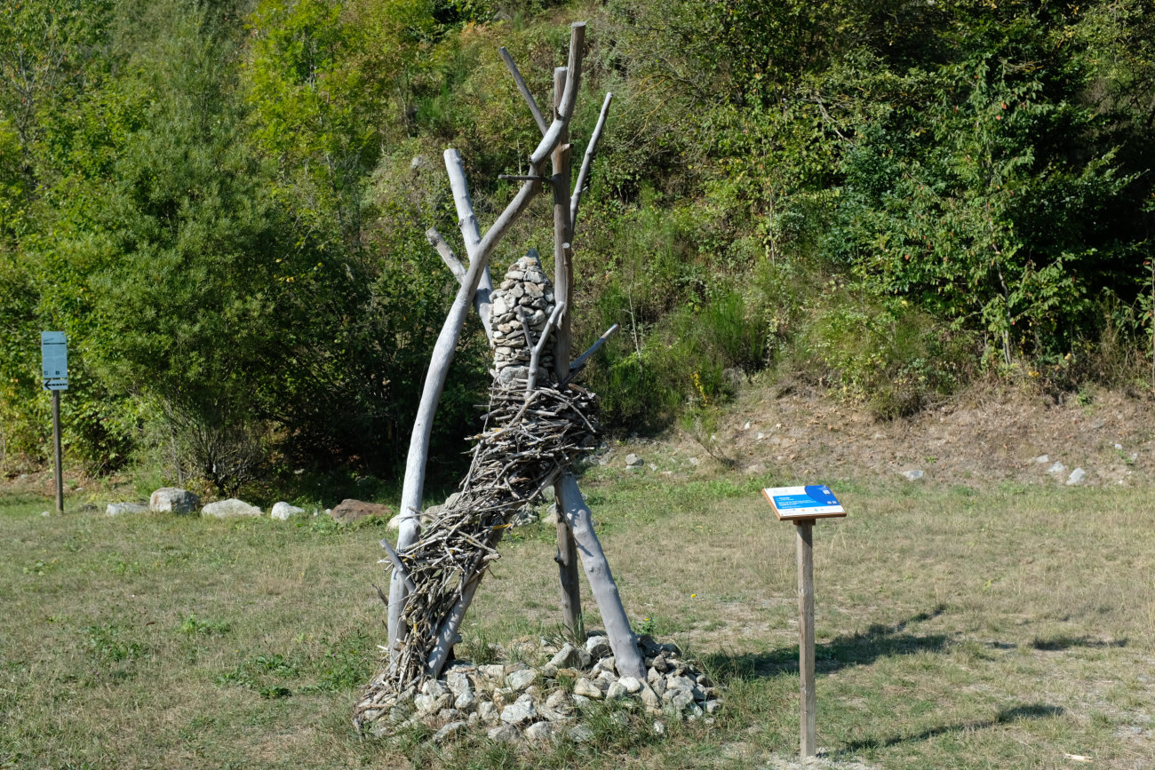 Stein- und Astkunst