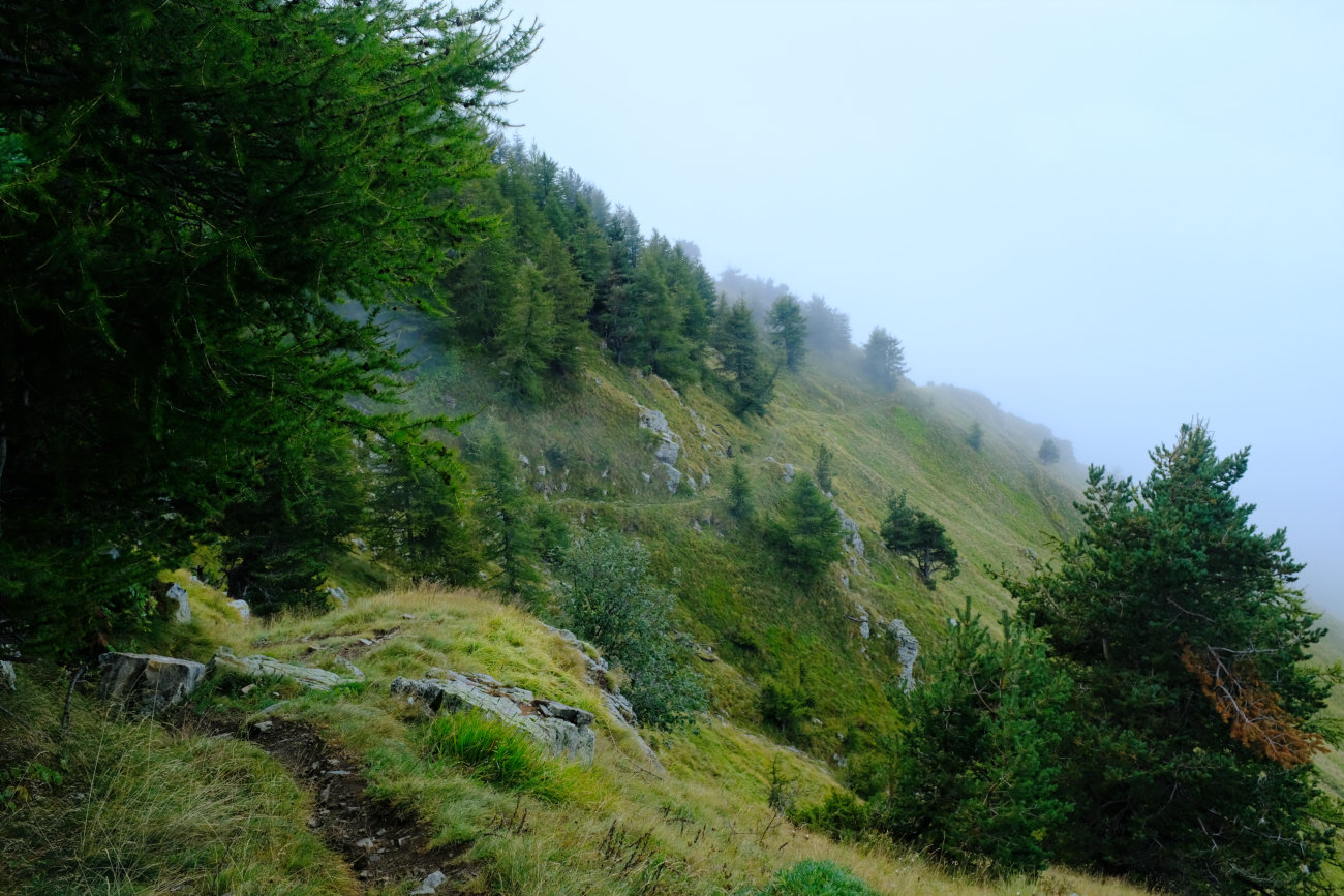 Weg im Nebel