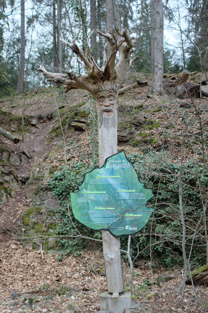 Bannwald Tafel 1
