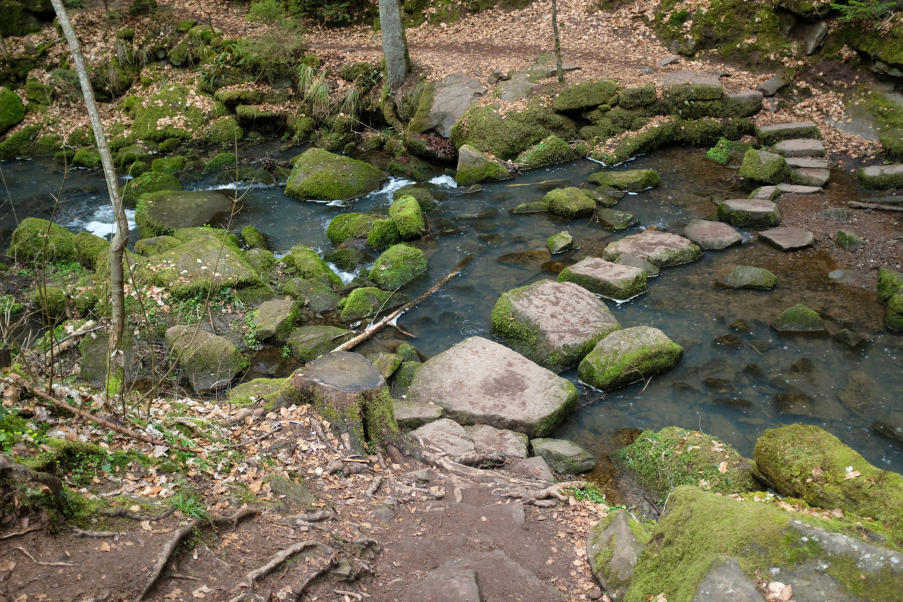 Monbachtal