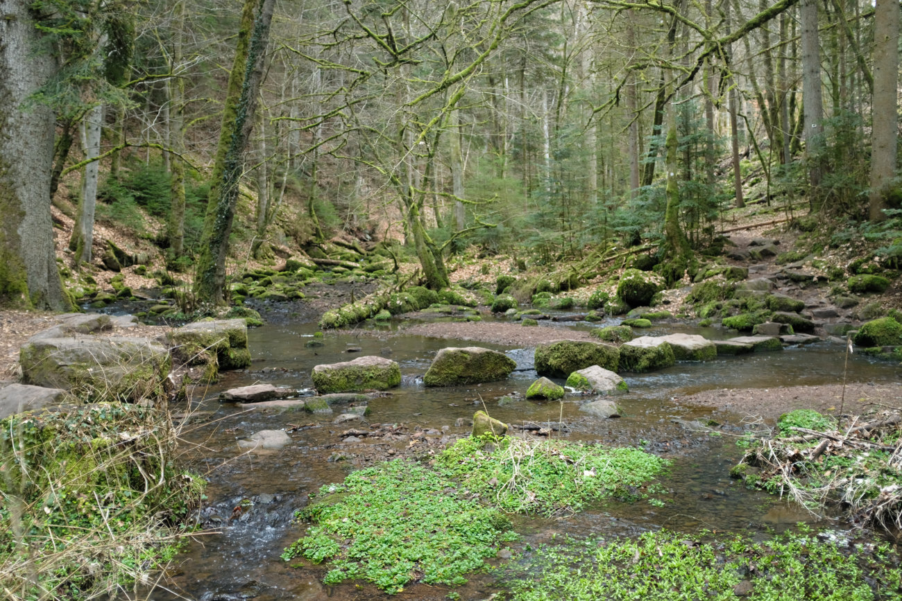 Monbachtal