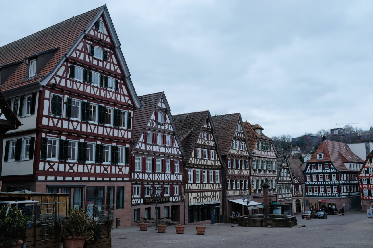 Calw