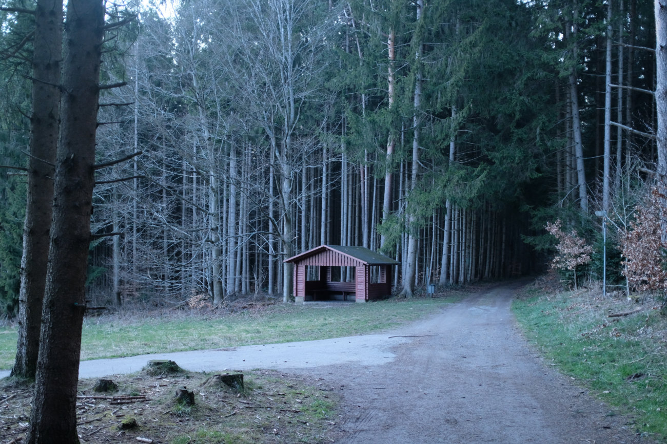 Hölzle