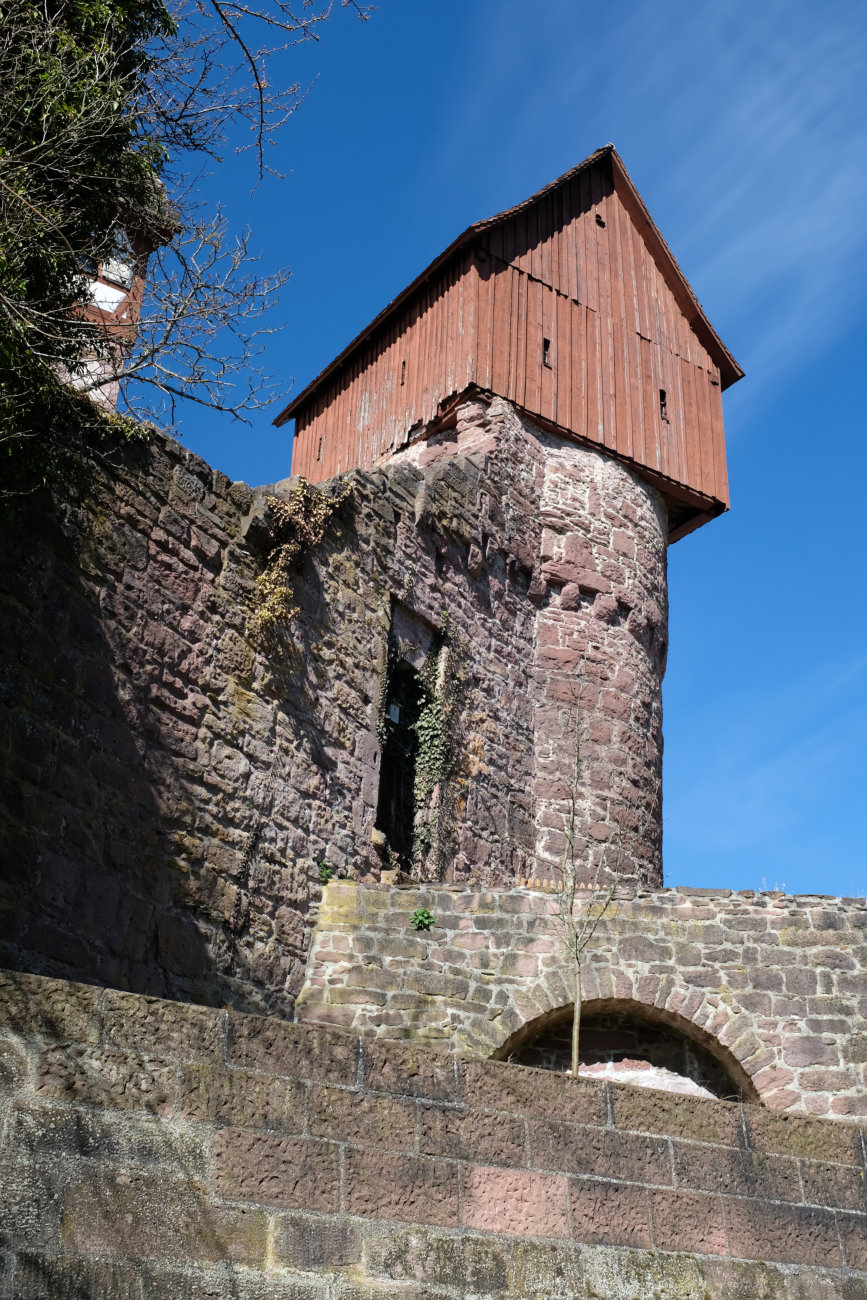 Schloss Altensteig