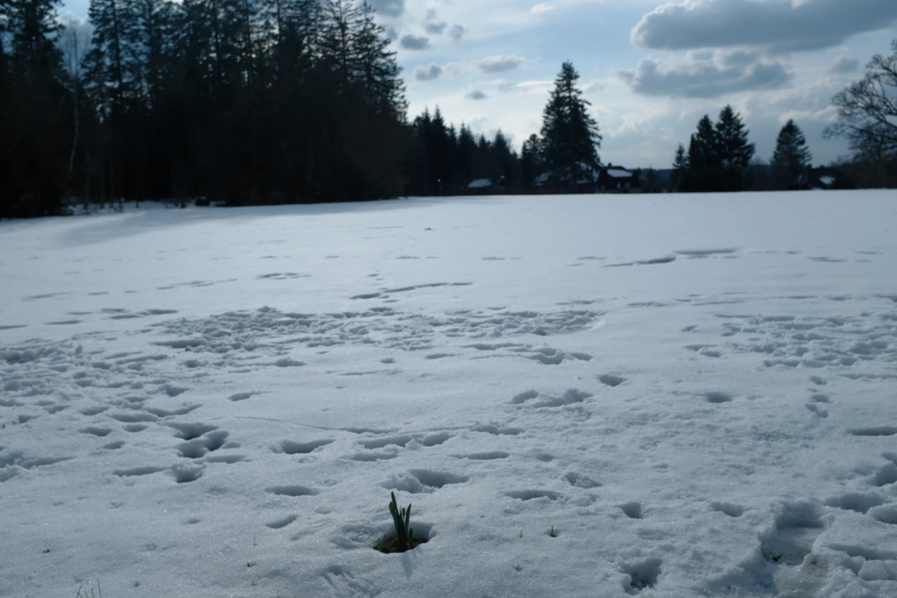 Schnee