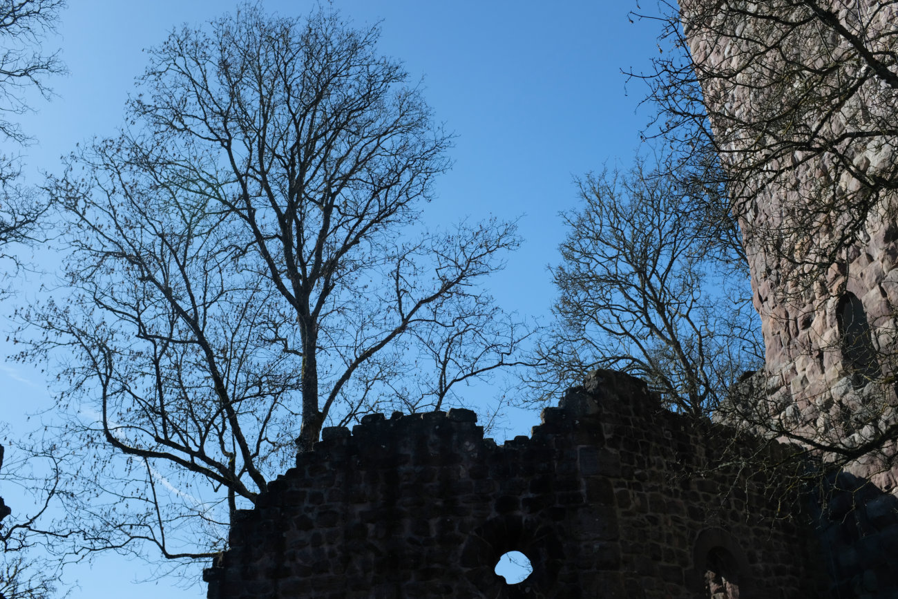 Burg Waldau