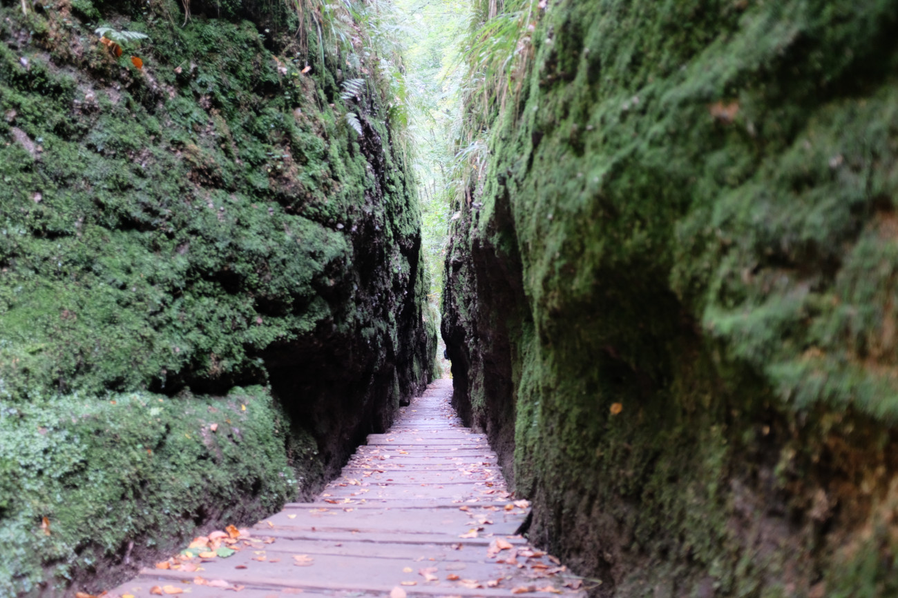 Drachenschlucht