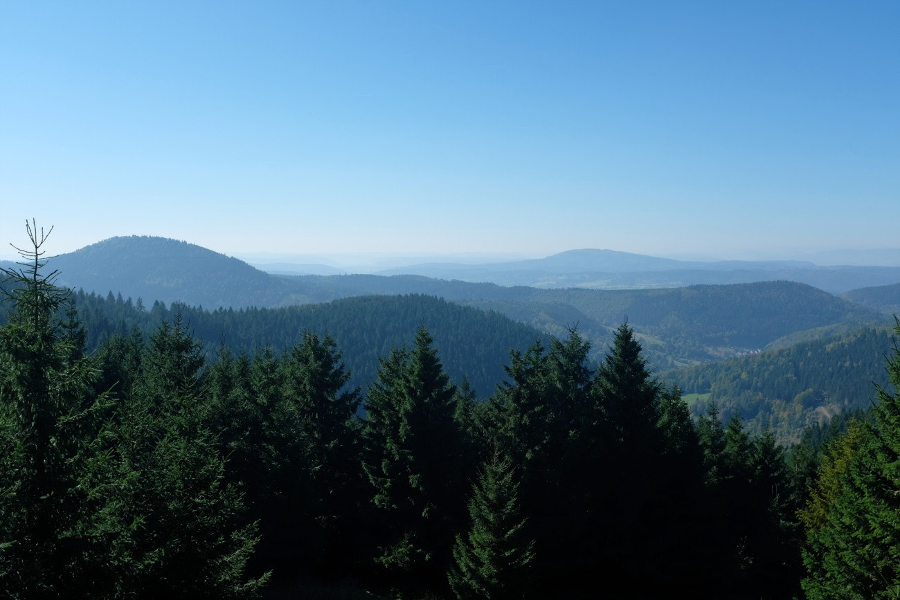 Aussicht
