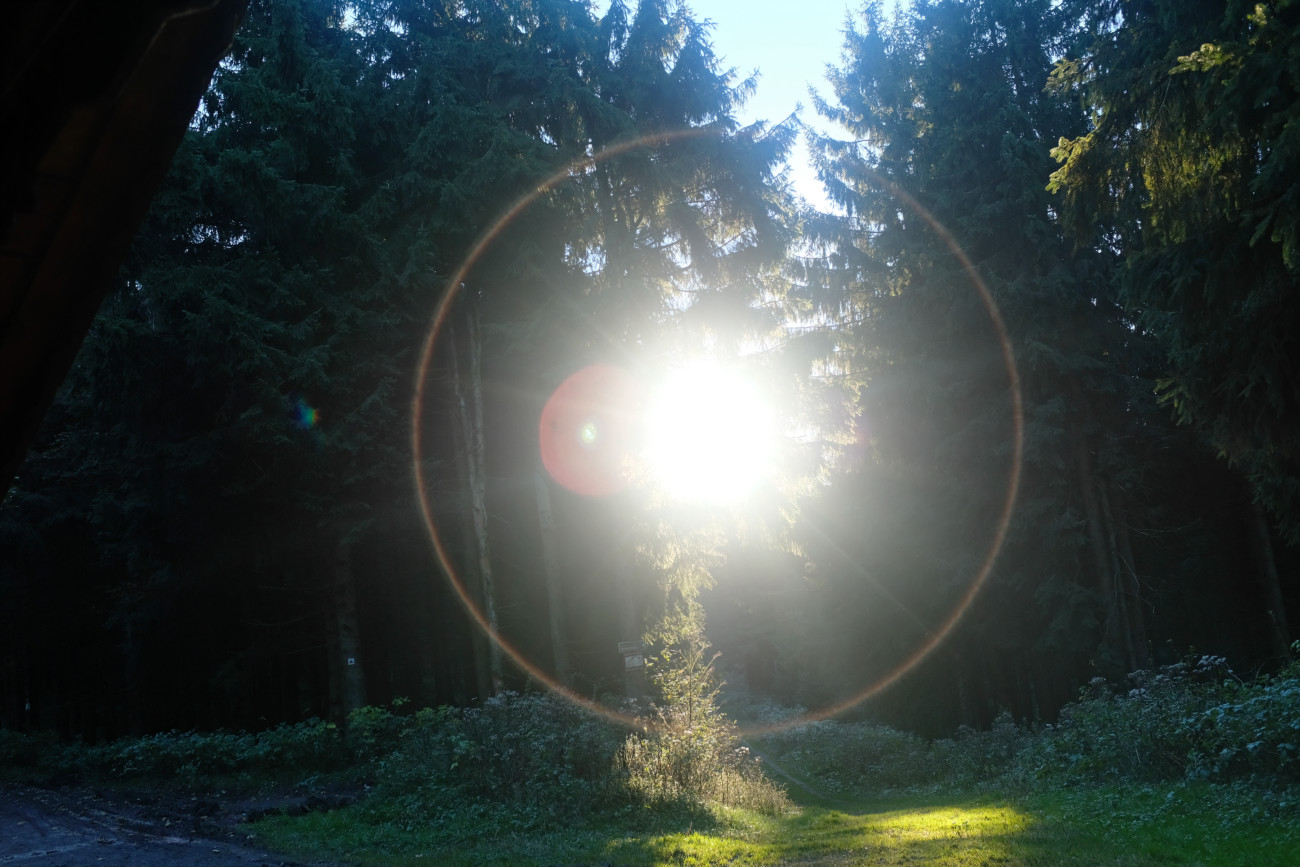 Sonne
