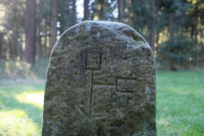Stein