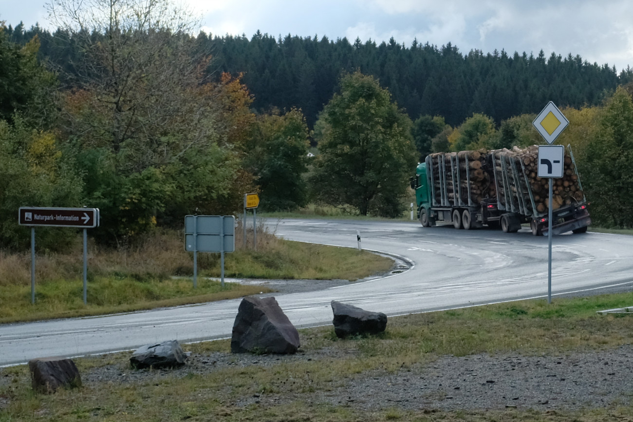 Holzlaster