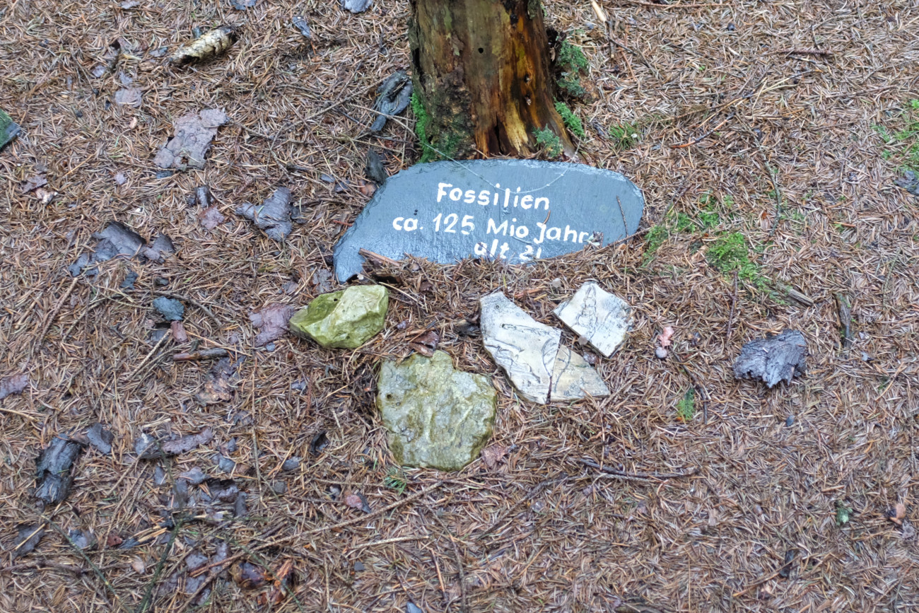Waldkunst