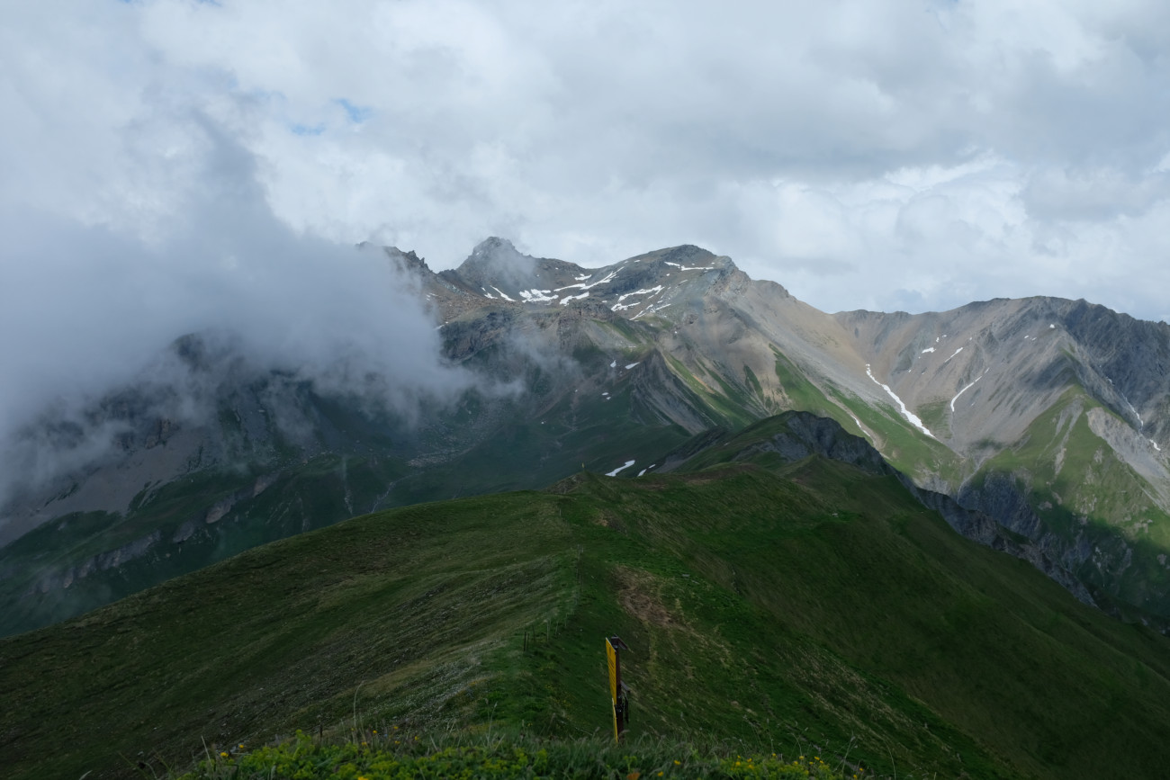 Blick zum Geier