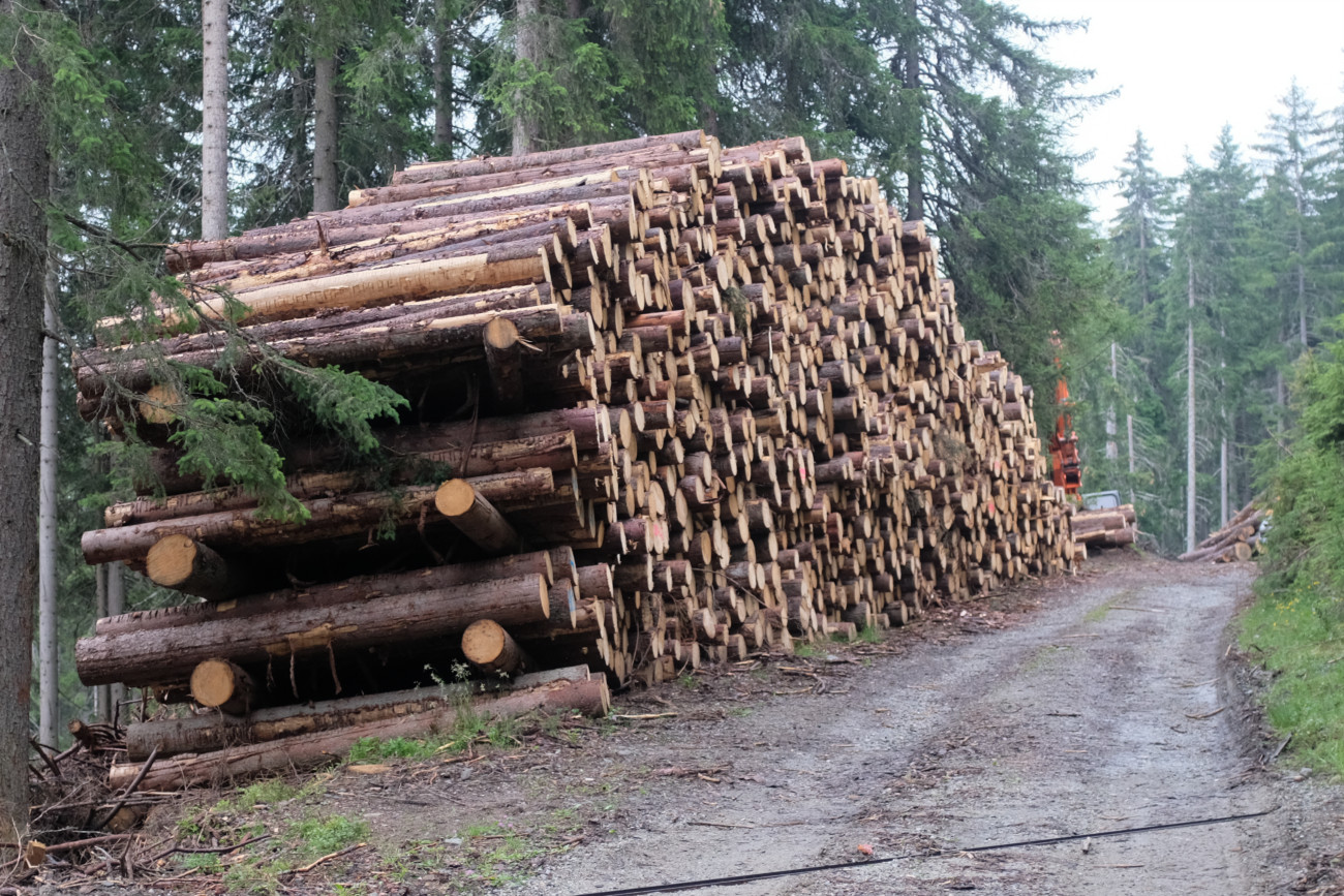 Holzstapel