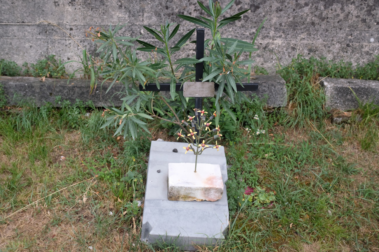 Kriegerdenkmal 2