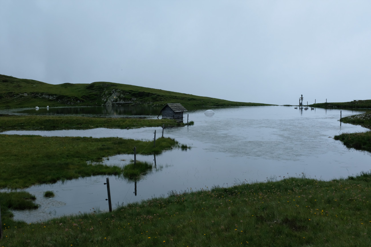 Schwanensee 1