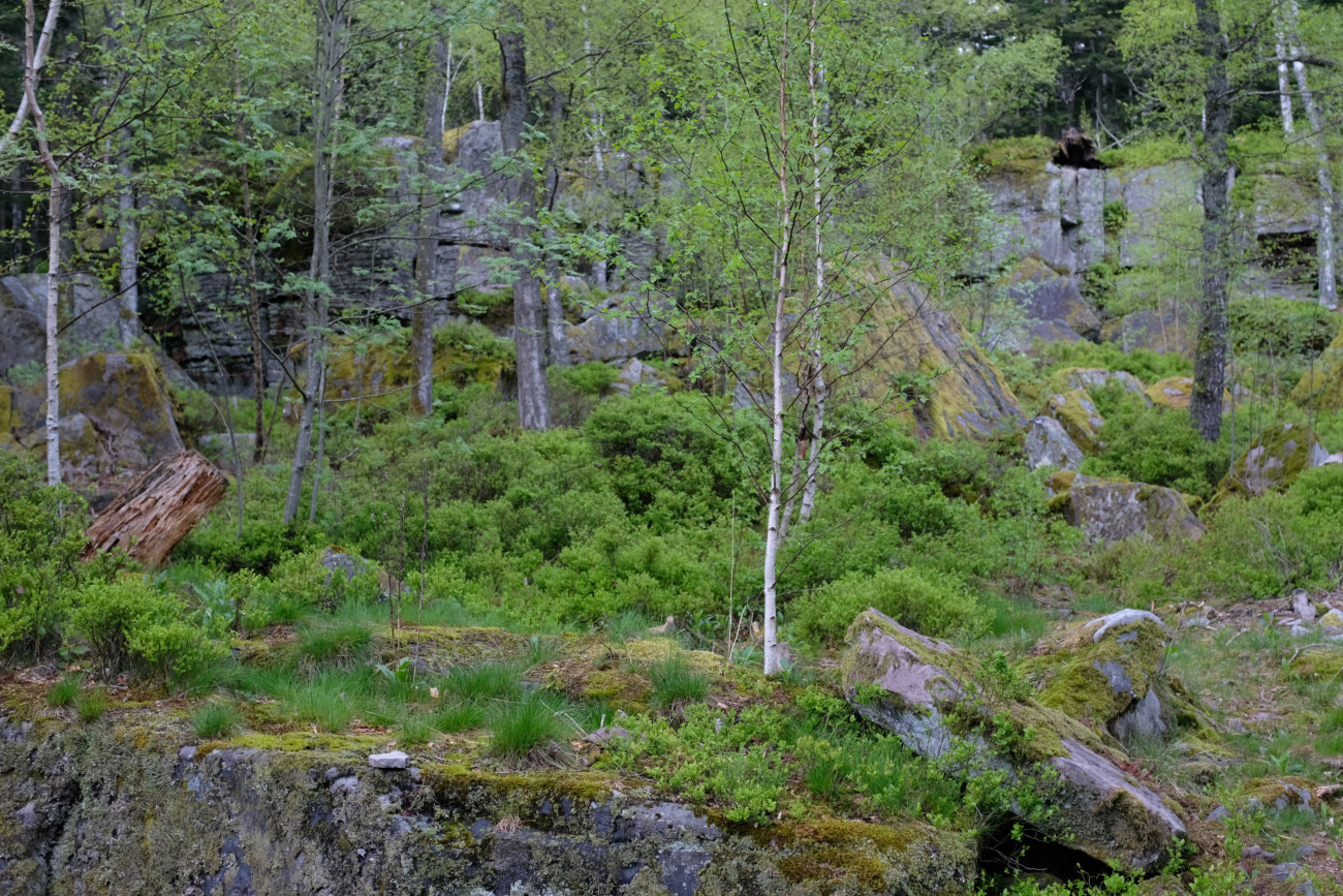 Volzemer Stein