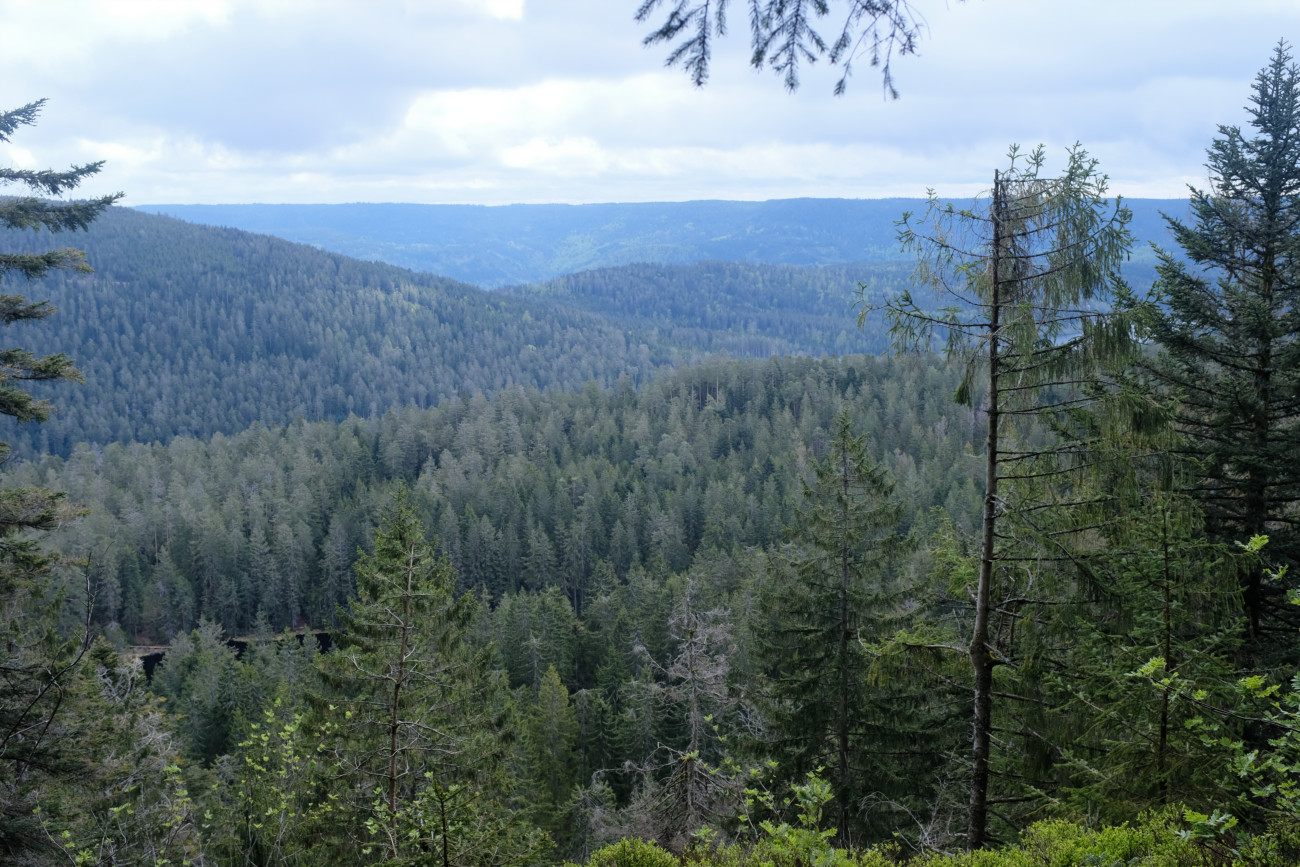 Zweiseenblick