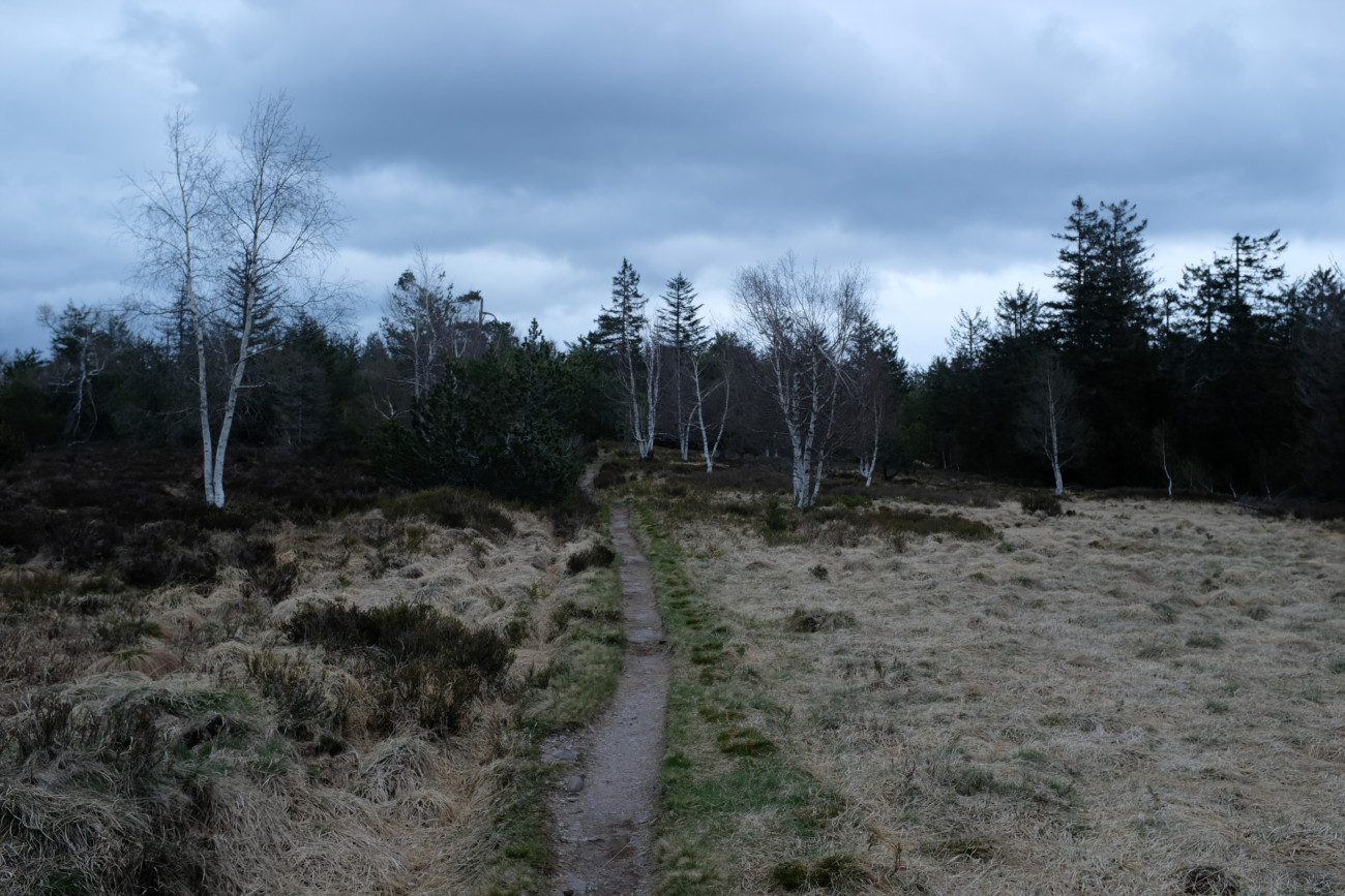 Moorweg