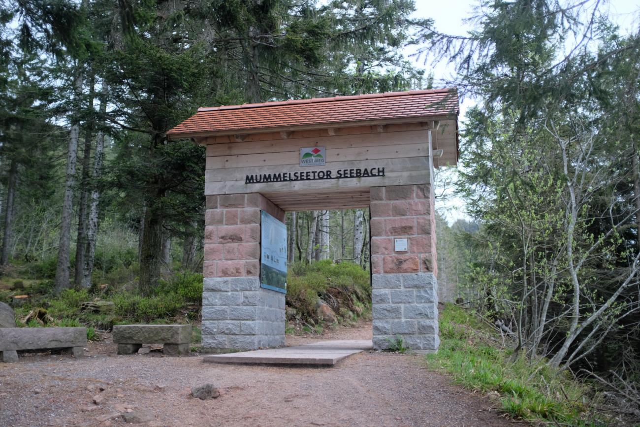Tor Mummelsee
