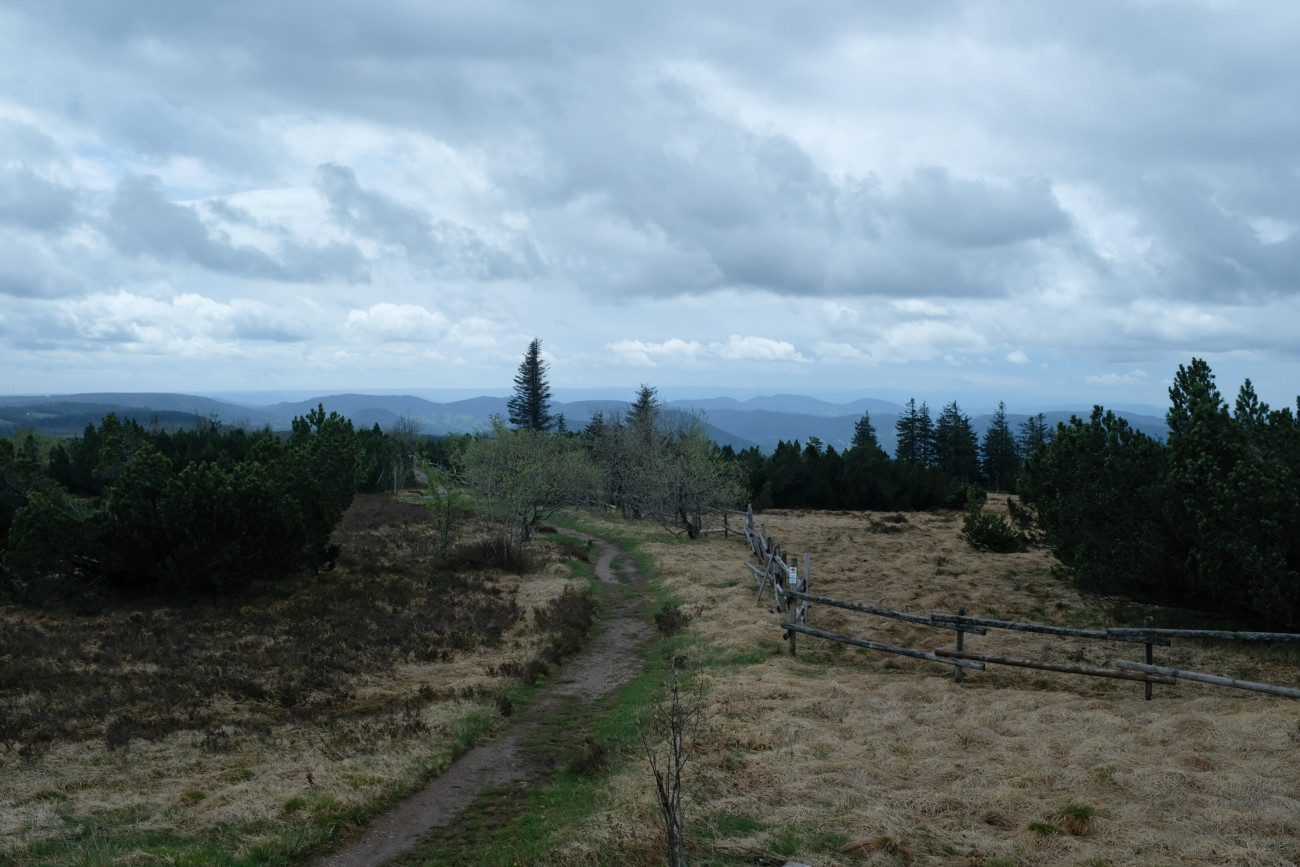 Hochmoor