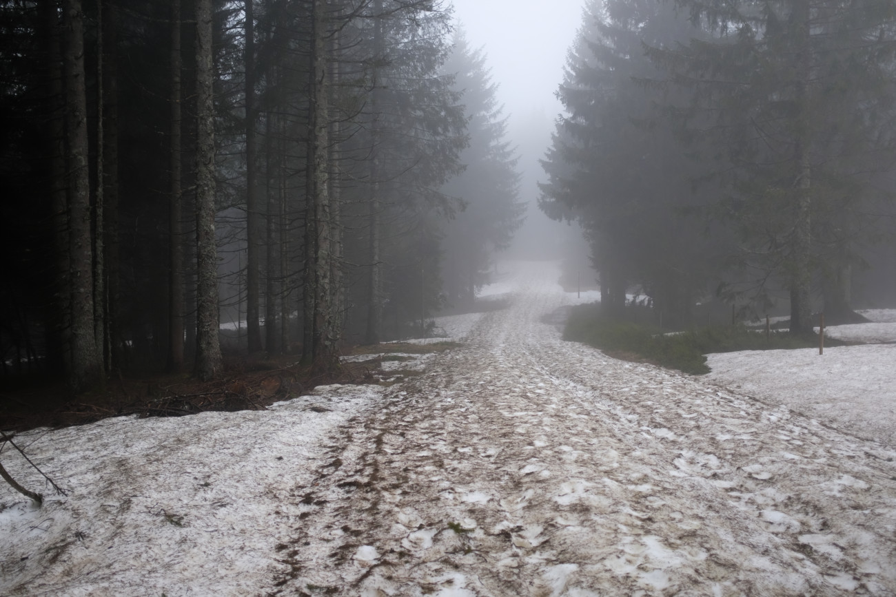 Schneefeld